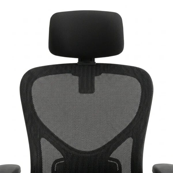 Silla Ergonomica Evox Ajustable