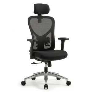 Silla Ergonomica Evox Ajustable