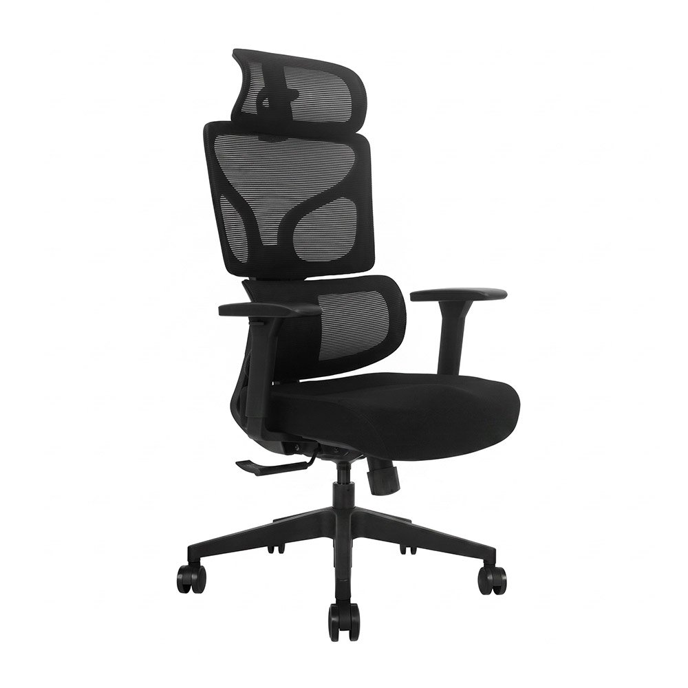 AERO > Silla de Oficina Ergonómica Silla Ejecutiva con Doble Soporte Lumbar y Asiento Deslizable