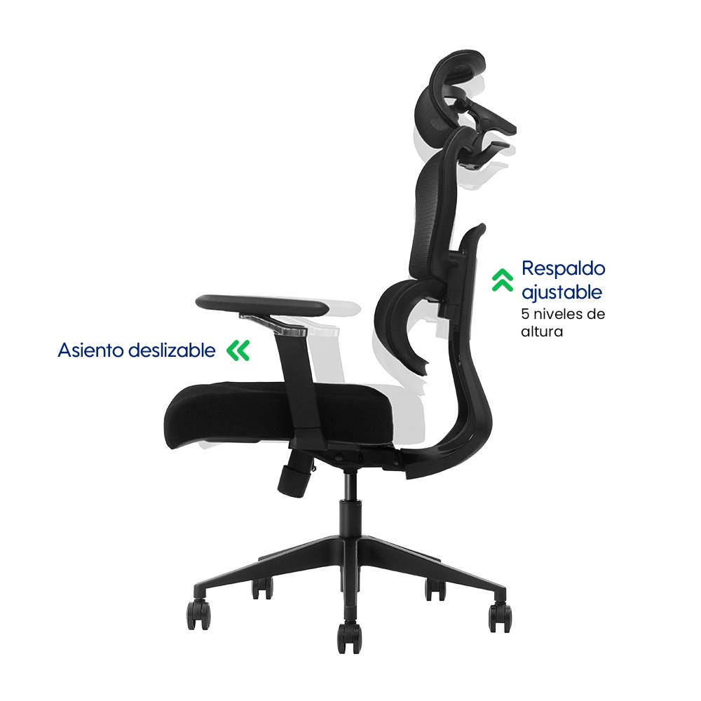 NEXUS > Silla Ergonómica Ejecutiva con Respaldo Dinámico y Reposabrazos 5D