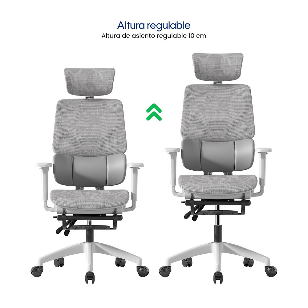 Silla Evox Advance C271 Gris