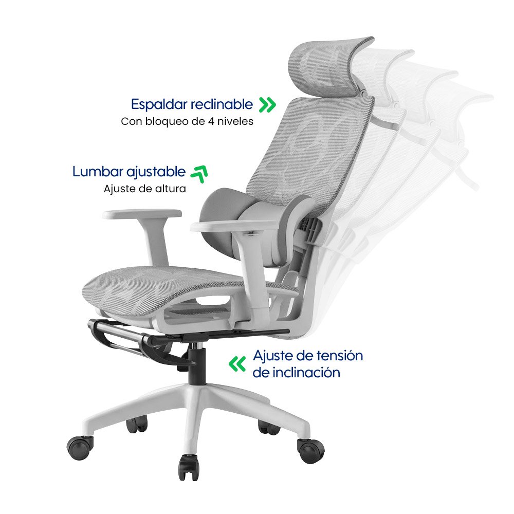 Silla Evox Advance C271 Gris