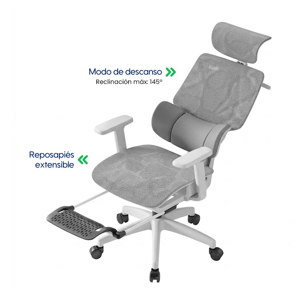 Silla Evox Advance C271 Gris