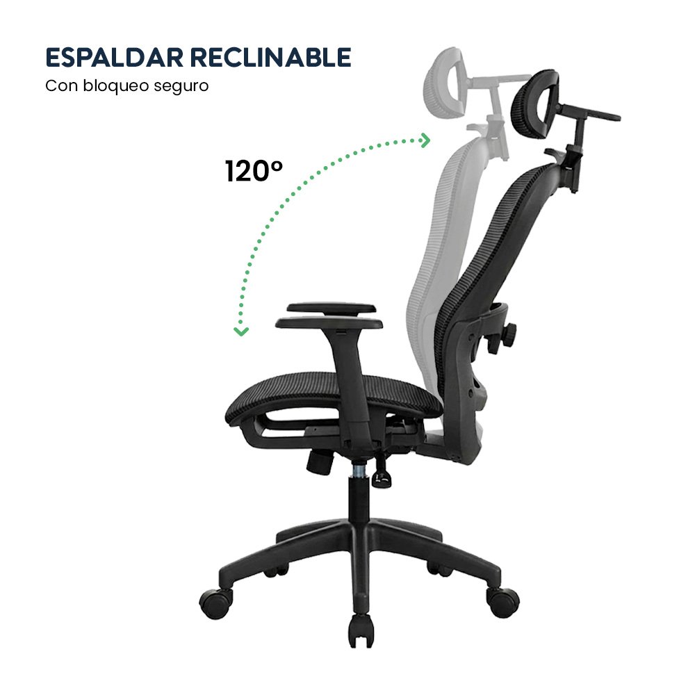 Silla de Oficina Ergonómica Evox Advance E7-B Negro