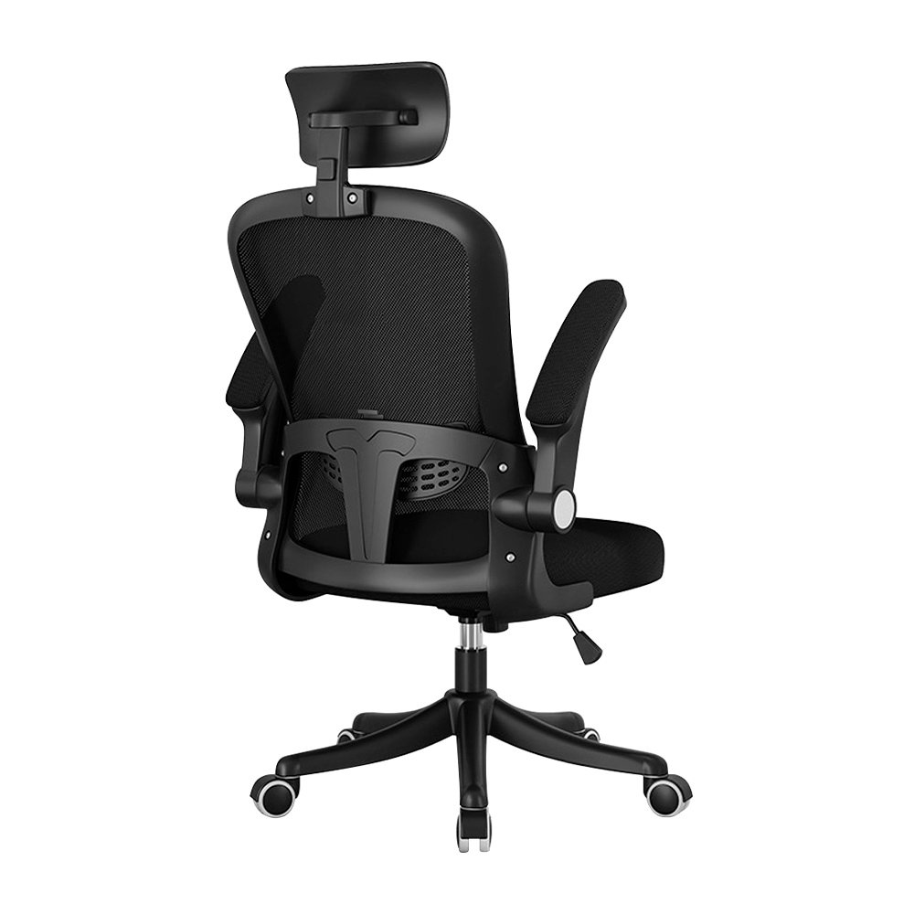 Silla de Oficina Ergonómica Evox One E2-B (CT256) con Soporte Lumbar Ajustable