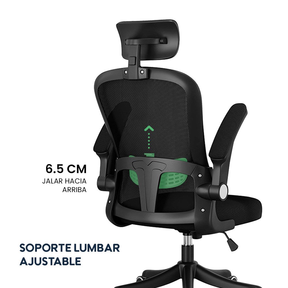 Silla de Oficina Ergonómica Evox One E2-B (CT256) con Soporte Lumbar Ajustable