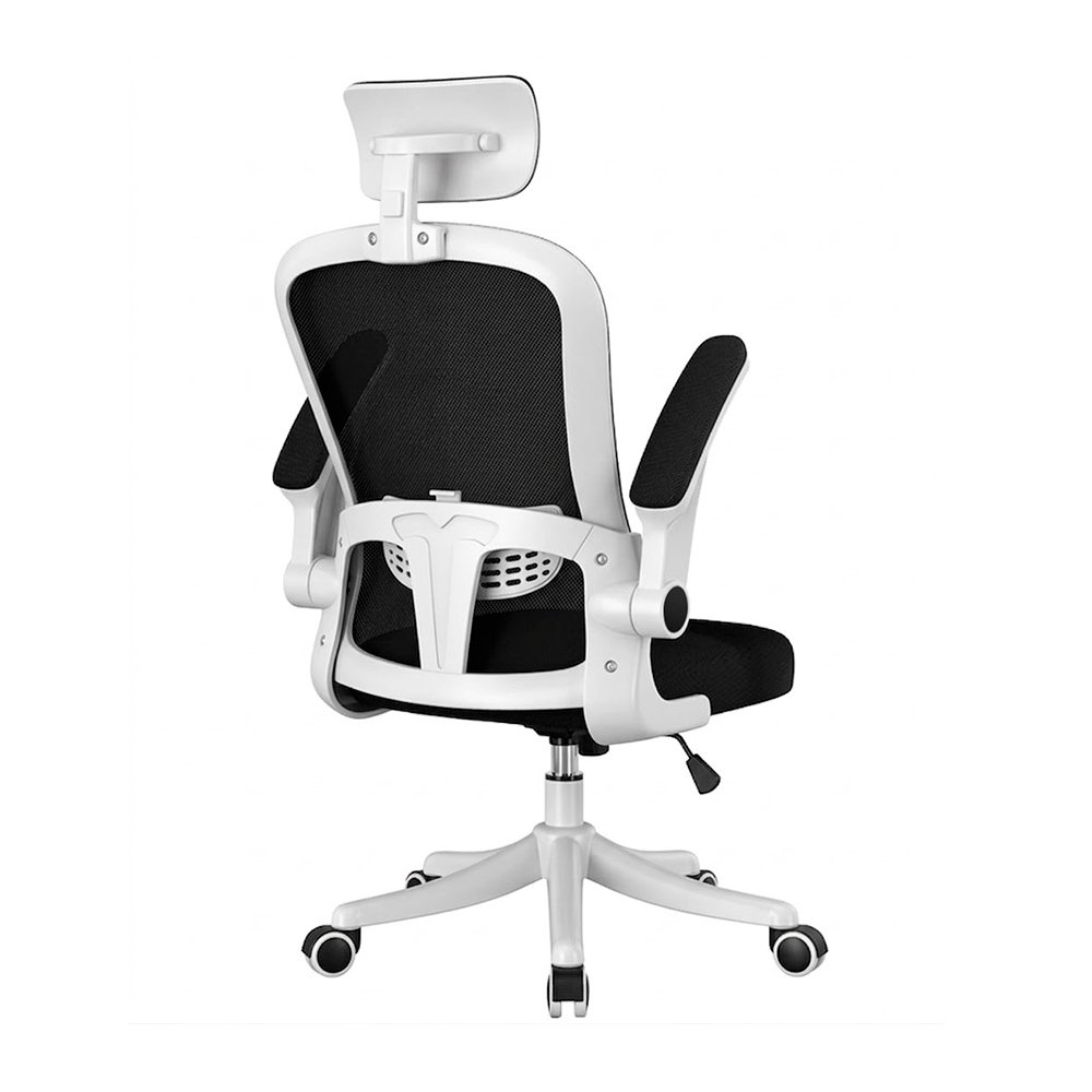 Silla de Oficina Ergonómica Evox One E2-W (CT256) con Soporte Lumbar Ajustable