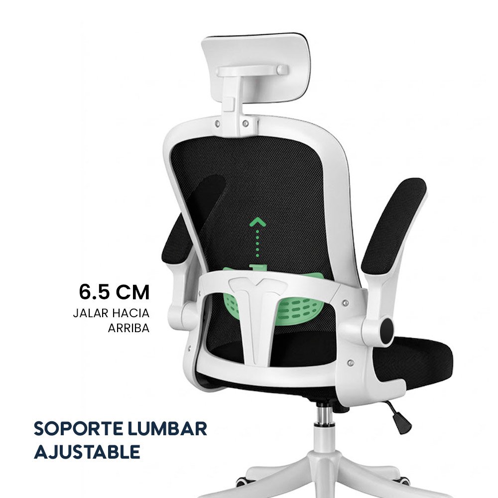 Silla de Oficina Ergonómica Evox One E2-W (CT256) con Soporte Lumbar Ajustable
