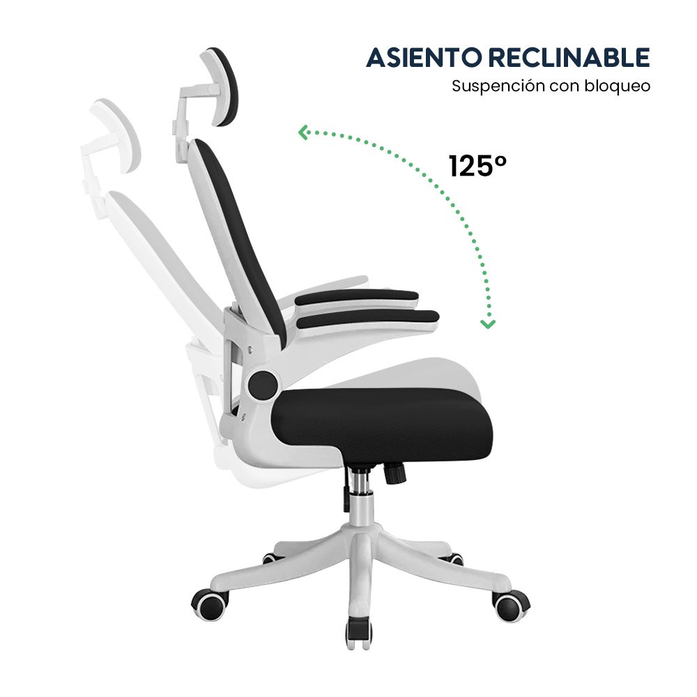 Silla de Oficina Ergonómica Evox One E2-W (CT256) con Soporte Lumbar Ajustable